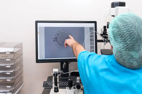 Embryologists perform test with human eggs. Doctor working on manipulator fertilizing human egg in fertility clinic lab, explaining the process, IVF treatment. Artificial insemination clinic