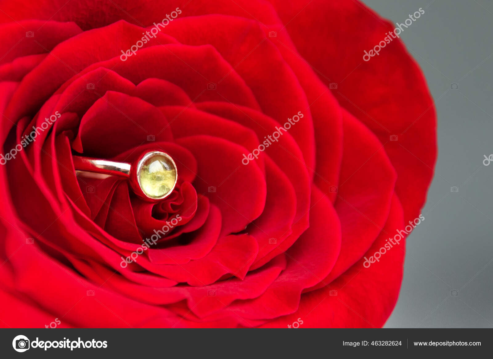Engagement Ring Inside A Red Rose High-Res Stock Photo - Getty Images