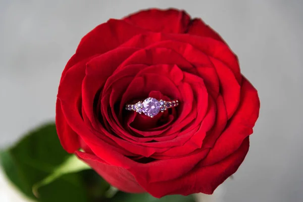 Bague Fiançailles Étincelante Intérieur Rose Rouge Cadeau Romantique Pour Saint — Photo
