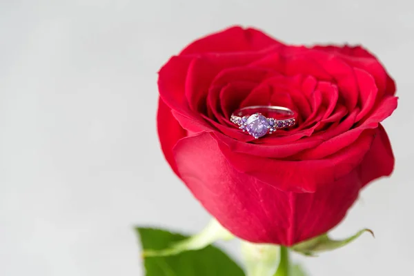 Funkelnder Verlobungsring Roter Rose Romantisches Geschenk Zum Valentinstag Heiratsantrag Konzept — Stockfoto