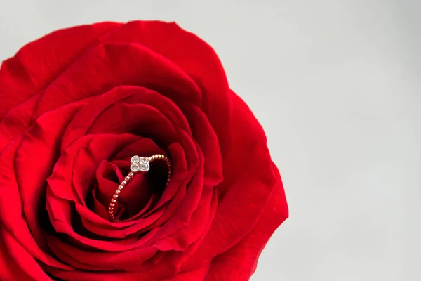 Funkelnder Verlobungsring Roter Rose Romantisches Geschenk Zum Valentinstag Heiratsantrag Konzept — Stockfoto