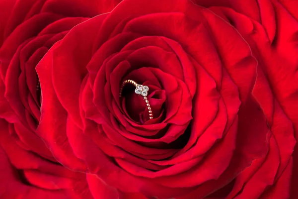 Błyszczący Pierścionek Zaręczynowy Wewnątrz Czerwonej Róży Romantyczny Prezent Walentynki Koncepcja — Zdjęcie stockowe