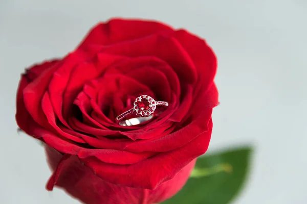 Sprankelende Verlovingsring Rode Roos Romantisch Cadeau Voor Valentijnsdag Begrip Huwelijksaanzoek — Stockfoto