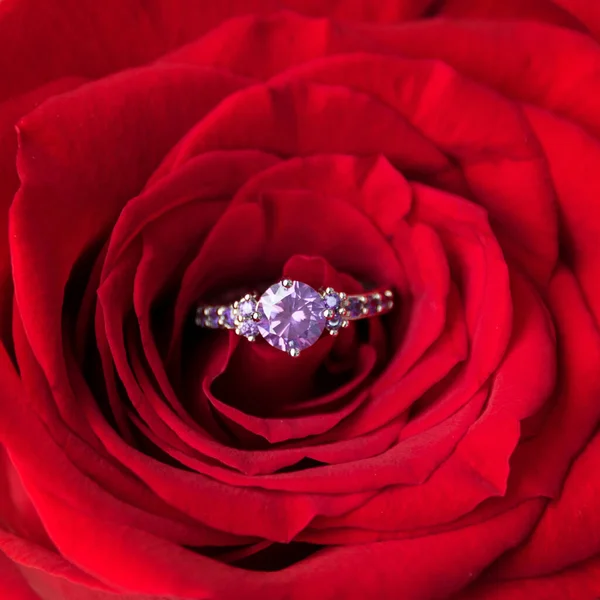 Anillo Compromiso Brillante Dentro Rosa Roja Regalo Romántico Para Día — Foto de Stock