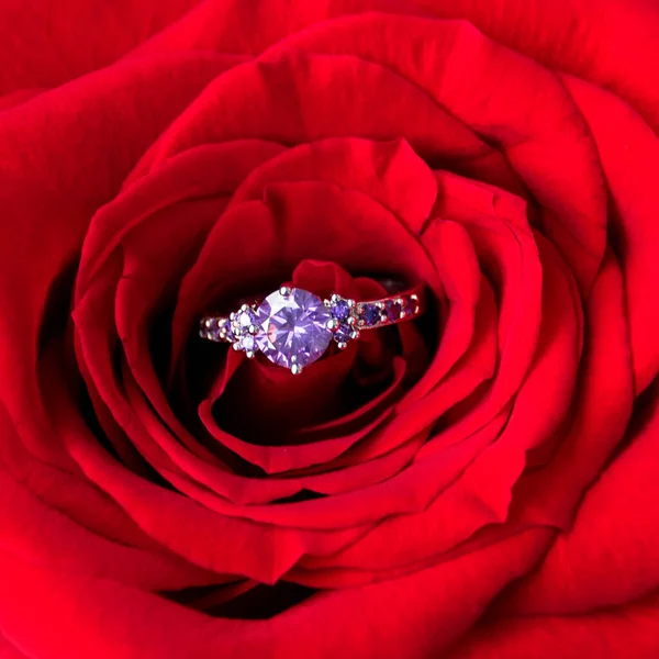 Funkelnder Verlobungsring Roter Rose Romantisches Geschenk Zum Valentinstag Heiratsantrag Konzept — Stockfoto