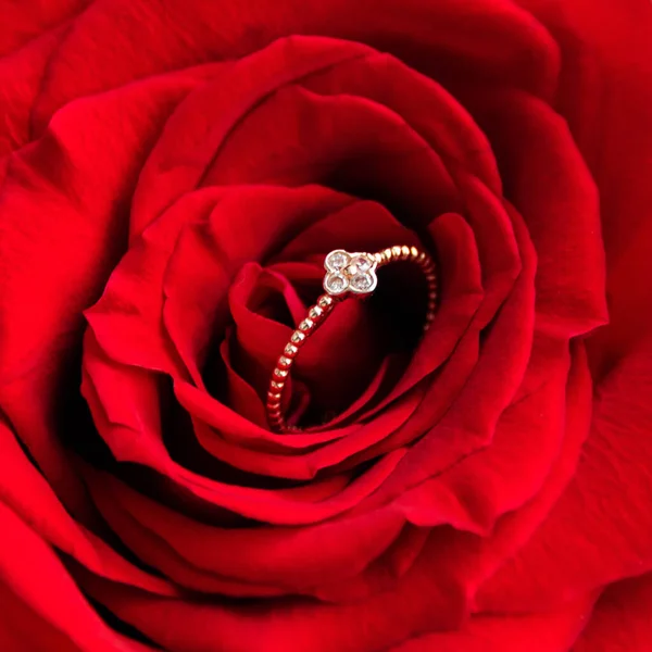 Funkelnder Verlobungsring Roter Rose Romantisches Geschenk Zum Valentinstag Heiratsantrag Konzept — Stockfoto