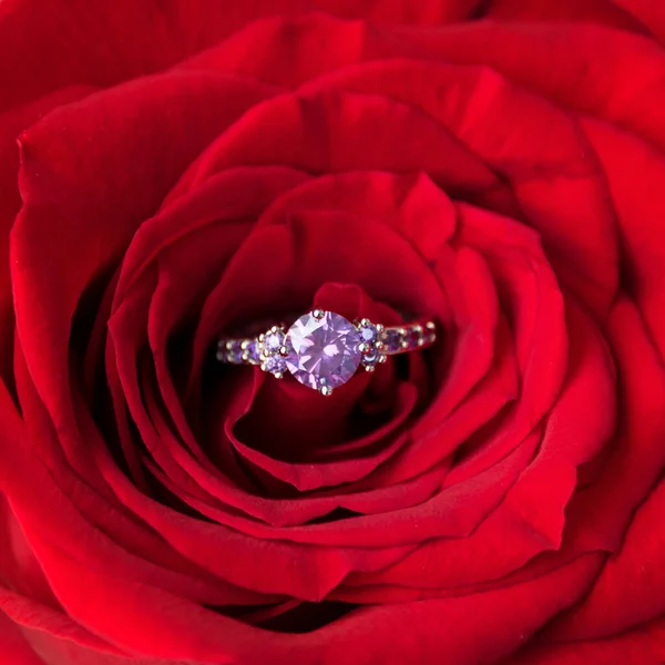 Sparkling Engagement Ring Red Rose Romantic Gift Valentines Day Marriage Royalty Free Stock Photos