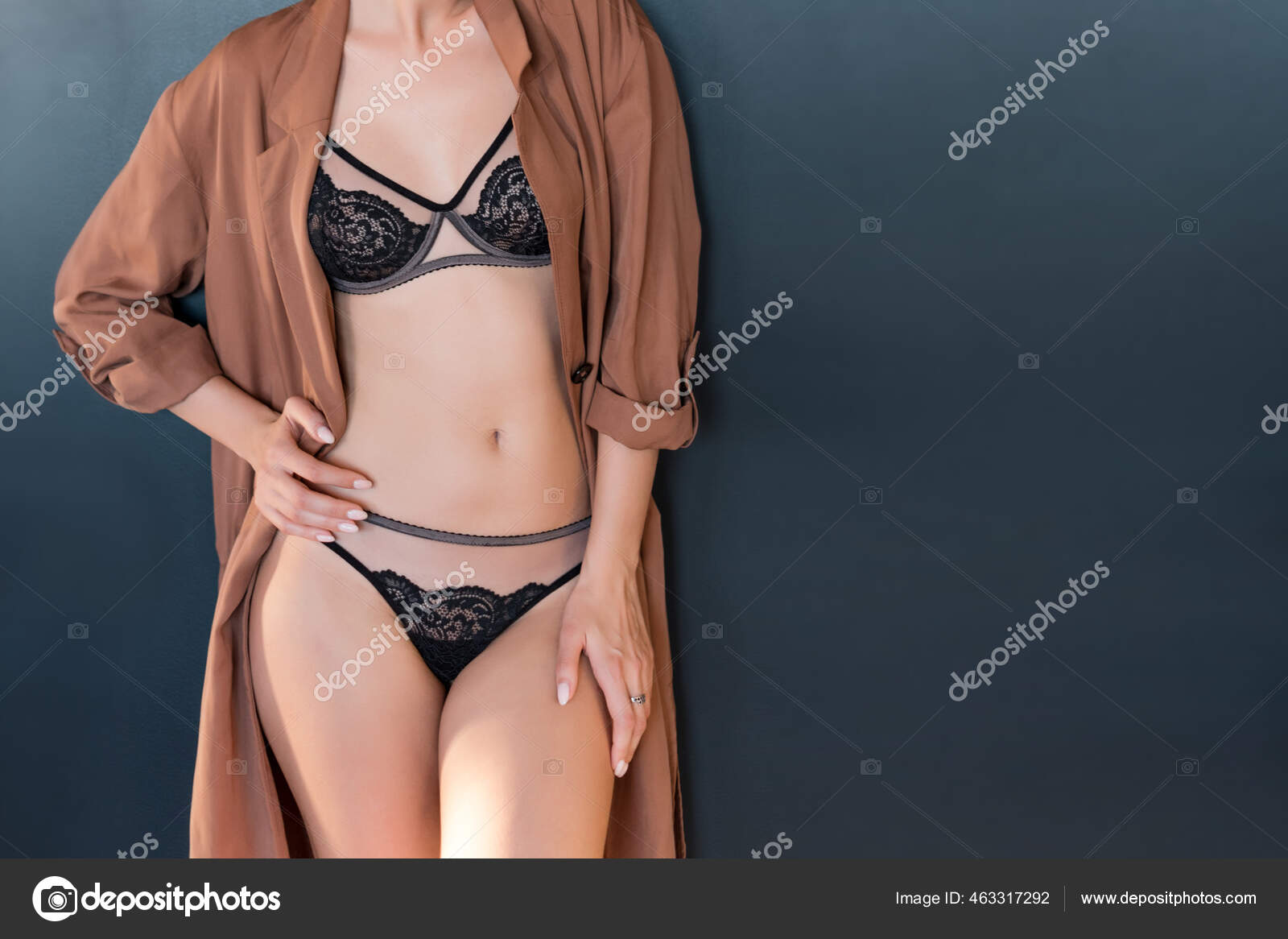 Retrato Chica Modelo Sexy Interior Hermosa Dama Bragas Elegante: fotografía de stock © #463317292 | Depositphotos