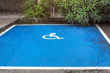 Engelli park yerleri. Asfaltta beyaz tekerlekli sandalye işareti olan park yeri engelli ziyaretçiler için park yeri