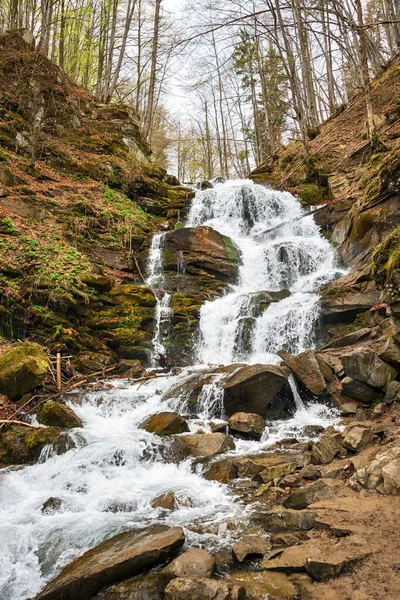 Forest Waterfall Rocks Covered Moss Carpathians Shypit Ukraine Europe — Stock Photo, Image