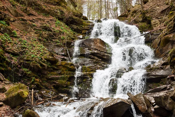 Forest Waterfall Rocks Covered Moss Carpathians Shypit Ukraine Europe — Stock Photo, Image