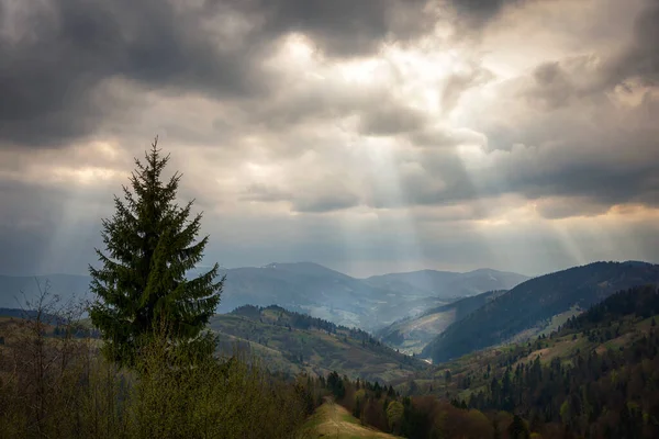Panoramic View Beautiful Landscape Carpathian Mountains Light Clouds Spot Lighting — Stock Photo, Image
