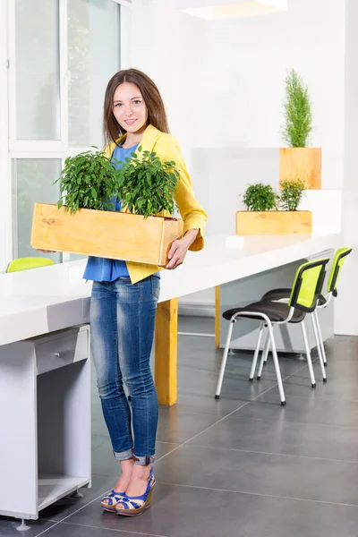 Πράσινη διαβίωση. Ελκυστική νεαρή επιχειρηματίας στέκεται στο σύγχρονο γραφείο loft κρατώντας ένα κουτί με φυτά. Περιβαλλοντικός επιστήμονας ή βιολόγος εν ώρα εργασίας. Μαθητής βιολογίας και οικολογίας. Οικολογική έννοια. — Φωτογραφία Αρχείου