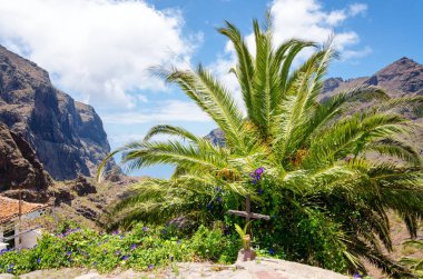 Palmiye ağacının altında yol kenarı kesişmesi otomobilin nerede öldüğünü gösteriyor.
