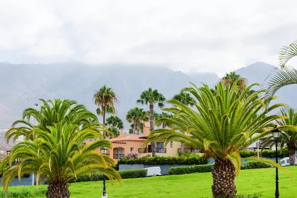 Krásná Tropická Zahrada Palmami Blízkosti Hor — Stock fotografie