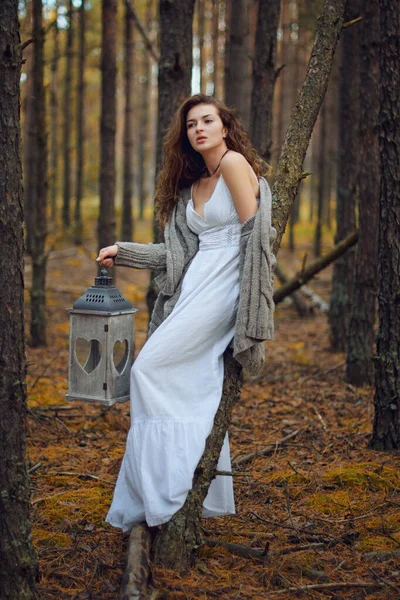 Young beautiful woman in the forest with lantern