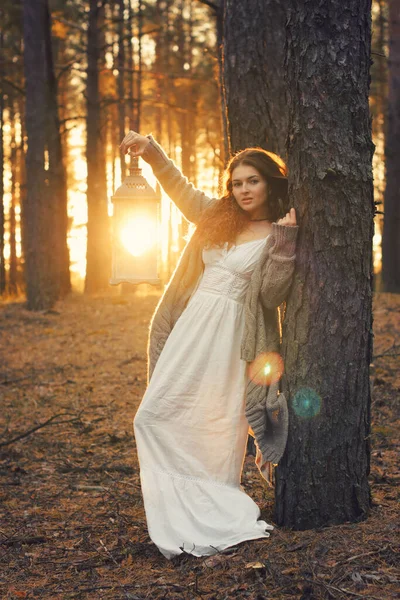 Jeune Belle Femme Dans Forêt Avec Lanterne — Photo