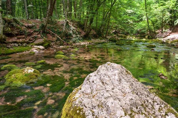 Forest Stream Running Mossy Rocks Mountain River Crimea — Stock Photo, Image