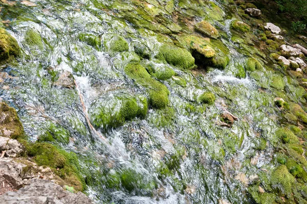 Forest Stream Running Mossy Rocks Mountain River Crimea — Stock Photo, Image