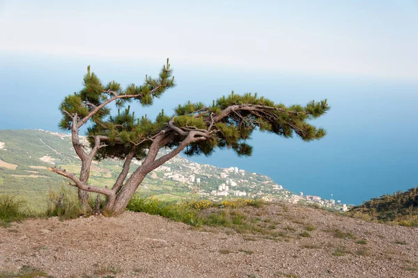 Krajobraz Skałami Morzem Nad Morzem Czarnym Widok Południowe Wybrzeże Krymu — Zdjęcie stockowe