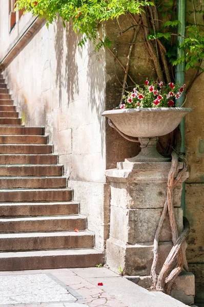 Acogedor Patio Con Pequeño Jardín Museo Chersonese Sebastopol Crimea — Foto de Stock