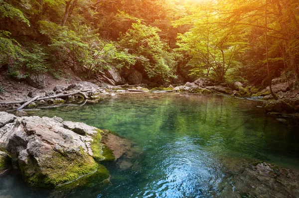 美丽的大自然 夏日阳光明媚的天然泻湖 克里米亚山区的湖泊 — 图库照片