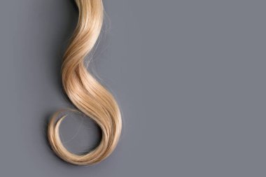 Curly blonde hair on grey background. Beautiful healthy long blond hair lock, haircut, hairstyle. Dyed hair or coloring, hair extension, cure, treatment concept. Copy space for text