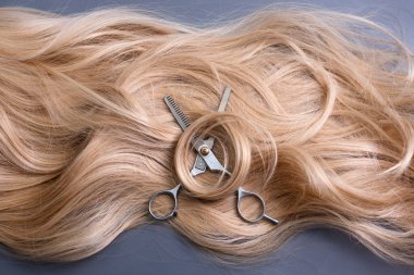 Hairdresser professional thinning scissors or shears with blonde curly hair on grey background. Beauty salon. Hair extensions and materials, hairdressing tools, hair care, new haircut concept