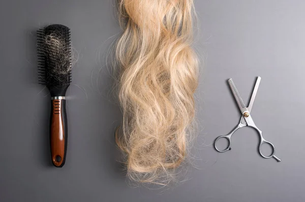 Hairdresser professional thinning scissors or shears and hairbrush with matted curl of blonde hair on grey background. Beauty salon. Hair extensions and hairdressing tool on grey table, top view