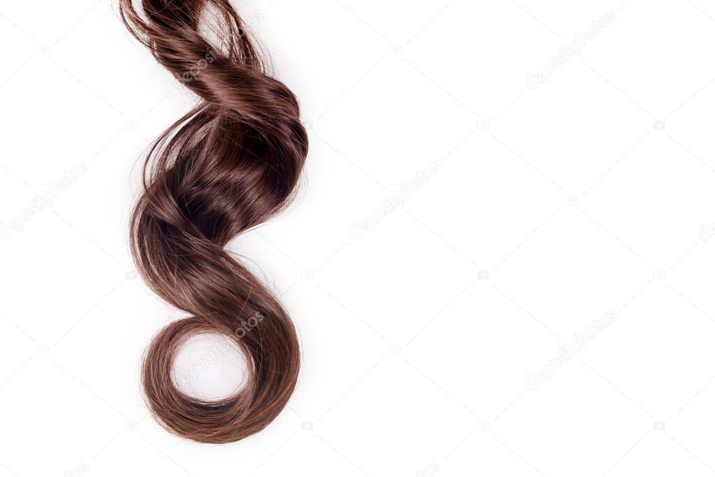 Curly brown hair isolated on white background. Beautiful healthy long chocolate brown hair lock, haircut, hairstyle. Dyed hair or coloring, hair extension, cure, treatment concept