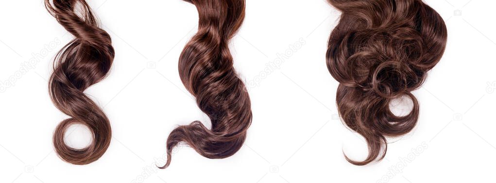 Curly brown hair isolated on white background. Beautiful healthy long chocolate brown hair locks, haircut, hairstyle. Dyed hair or coloring, hair extension, cure, treatment concept. Banner.