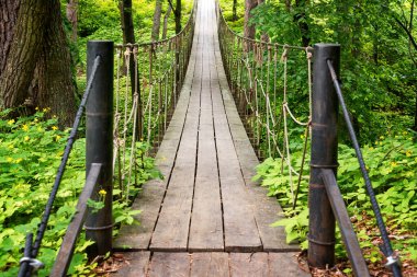 Ormandaki asma ahşap köprü. Ormandaki iki tepenin arasında asılı halat köprüsü..