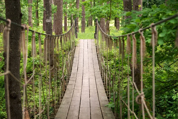 Zawieszenie Drewnianego Mostu Lesie Most Linowy Zawieszony Pomiędzy Dwoma Wzgórzami — Zdjęcie stockowe