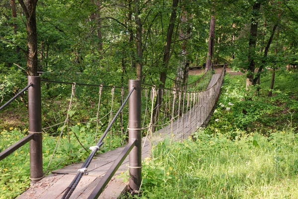 Zawieszenie Drewnianego Mostu Lesie Most Linowy Zawieszony Pomiędzy Dwoma Wzgórzami — Zdjęcie stockowe