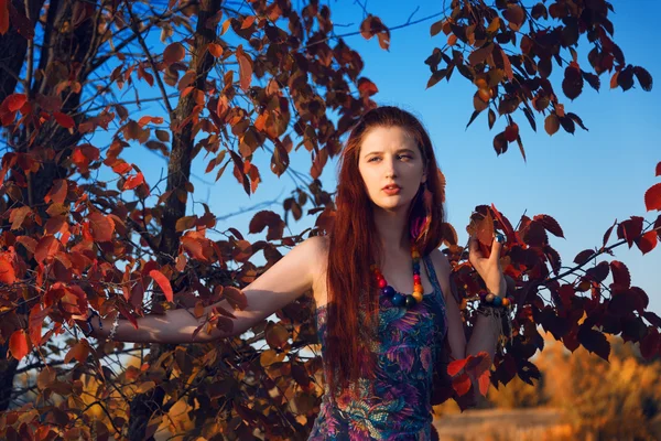 Fashion portrait of young hippie woman walking in autumn field. Romantic sunny evening — Stock Photo, Image