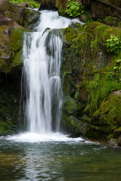 Waterfall in the Carpathians — Stock Photo, Image