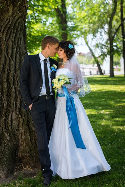 Bruid en bruidegom op huwelijksdag buiten lopen op lente aard. bruidspaar, gelukkig jonggehuwde vrouw en man omarmen in groen park. liefdevolle bruidspaar buiten. — Stockfoto