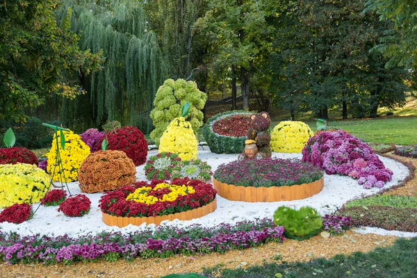 Flower beds in a shape of different fruits with colorful chrysanthemums. Parkland in Kiev, Ukraine. — Stock Photo, Image