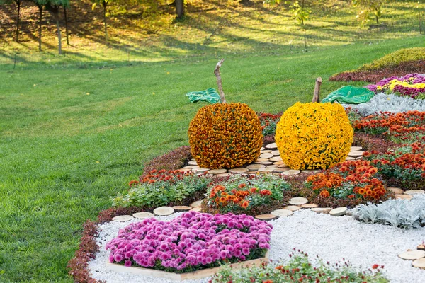 Flower beds in a shape of an apples with colorful chrysanthemums. Parkland in Kiev, Ukraine. — Stock Photo, Image