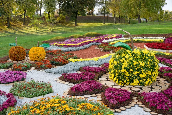 Bloem bed in een vorm van een appel met kleurrijke chrysanten. Parkland in Kiev, Oekraïne. — Stockfoto