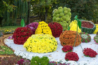 Çiçek yatak farklı meyveler ile renkli Kasımpatı şeklinde. Parkland Kiev, Ukrayna.