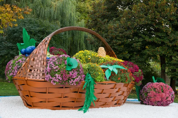 Nagy virág-ágy egy kosár tele különböző gyümölcsök színes krizantém alakja. Parkland, Kiev, Ukrajna. — Stock Fotó