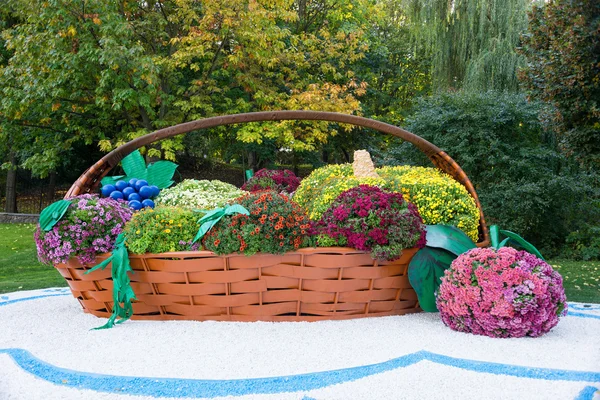 Cama de flor grande em forma de cesta cheia de frutas diferentes com crisântemos coloridos. Parques aquáticos em Kiev, Ucrânia . — Fotografia de Stock