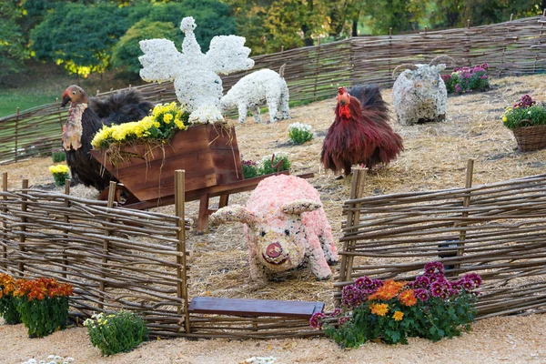 Camas de flores en forma de animales de granja con crisantemos de colores. Parkland en Kiev, Ucrania . — Foto de Stock