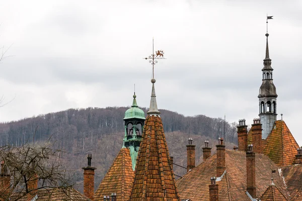 Vassa tak i Shenborn slott, Ukraina. Arkitektoniska detaljer. — Stockfoto