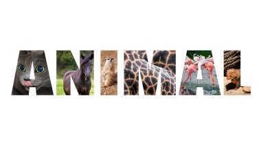 Beyaz arka plan üzerinde renkli işareti. Word hayvan harfler içinde renkli görüntüleri ile.