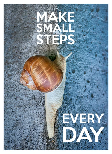 Inspiráló idézet a szavakkal, hogy kis lépésekkel minden nap. Nagy csiga, csúszó-ra egy kőfal. Stock Fotó