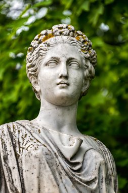 Head of marble statue of roman Ceres or greek Demeter in the park of the Palace and park complex Estate of G. Galagan. Sokyryntsi village, Ukraine. clipart