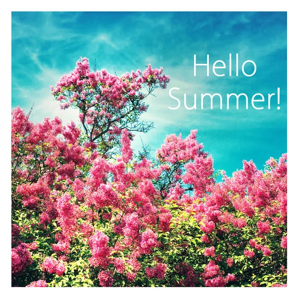 Cartão postal de verão com palavras Olá verão no fundo borrado. Arbusto em forma de coração de lilases florescentes . — Fotografia de Stock