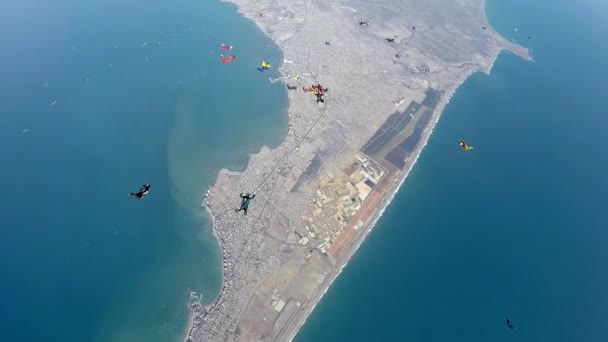 Ομάδα των skydivers αιωρείται σε επιταχυνόμενη ελεύθερη πτώση πάνω από την παράκτια πόλη — Αρχείο Βίντεο